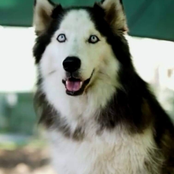 Meet your Posher, Michele π - Picture 13 of 16